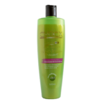 Shampoo Neutralizante Nano Argan 500 ml – Evoex